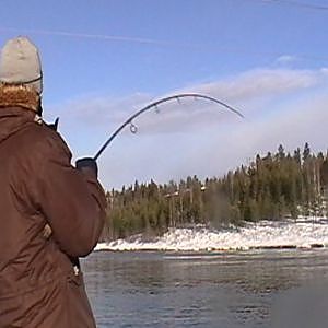 Winter fishing for salmon in River Lule, Swedish Lapland