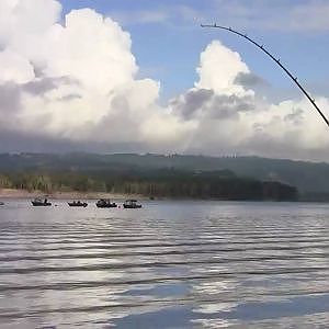 Salmon Columbia River 2010