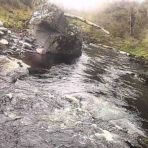 Salmon fly fishing on the River Findhorn, Scotland