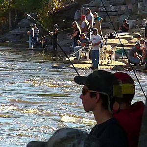 Salmon Fishing October 2013, Pulaski NY