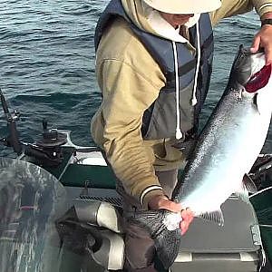 Lake Ontario, Salmon Fishing, July 13th 2011