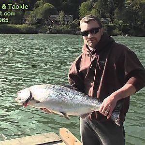 -Spring Chinook Salmon Love Spinners- (Umpqua River)