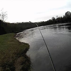 Salmon Fishing Scotland Spring Salmon Fly Fishing on the Tay January 2012.