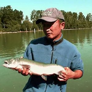 Fishing with Rod: Identifying pink salmon