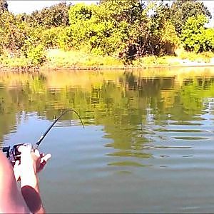 Salmon fishing on the Feather River Marysville Sacramento Area Northern California