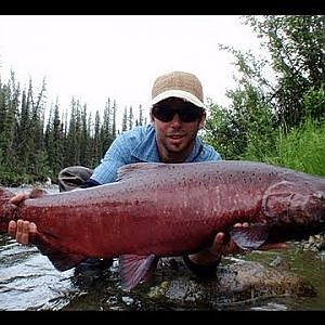 MULTI-DAY Alaska King Salmon Fishing - Koenigs Lachs Angeln - Float Trip