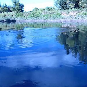 Nottawasaga river salmon fishing 2013