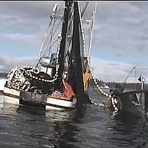 Southeast Alaska Salmon fishing