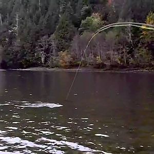 Fly Fishing For Salmon In Squamish BC