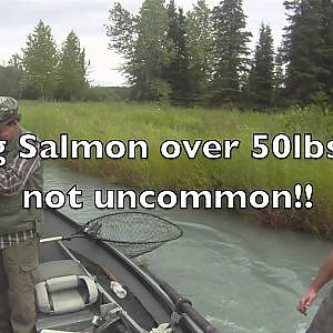 Alaska King Salmon Fishing Kenai and Kasilof Rivers