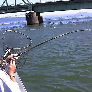 Salmon Fishing at Buoy 10 - Leaky Waders Fishing