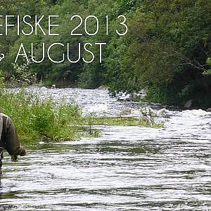 Laksefiske juli og august 2013 / Salmon fishing Norway - HD / 1080p