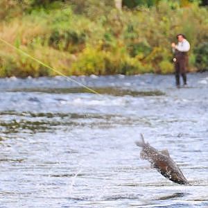 Salmon River New York Fishing Real Estate