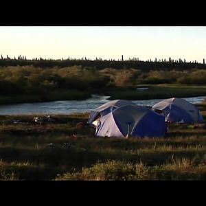 King Salmon Alaska Fly Fishing: Rainbow Trout & Salmon