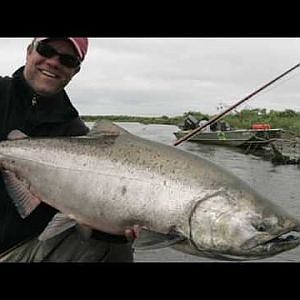 King Salmon on the fly at Alaska West Camp - Kanektok River