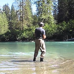 Salmon Fishing Coastal Streams Near Kitimat British Columbia