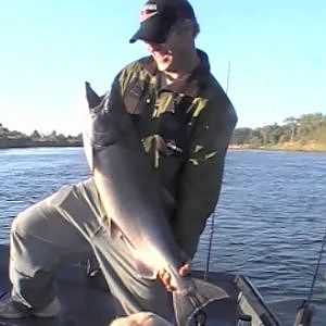 Salmon Fishing on Feather River.