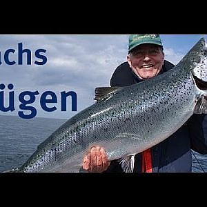 Lachsfischen auf Rügen