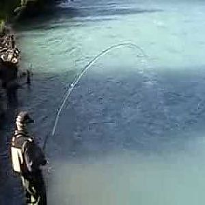 Lachsangeln in Alaska am Kenai River