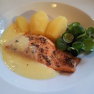 Lachs Rezept mit Zitronenpfeffer - Der Bio Koch #211