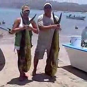 La Paz Fishing - Banner Day with dorado and sailfish