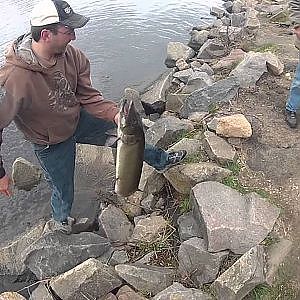 Walleye fishing. HUGE MUSKY CAUGHT!!