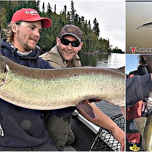 Lac Seul Pretty Musky & Healthy Walleye - Uncut Angling - September 16, 2013