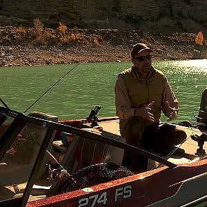 How to Catch and Release Tiger Muskie