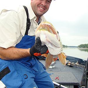 Topwater Muskie Wakes And Strikes!