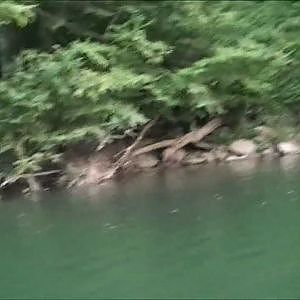 West Virginia Musky Fishing