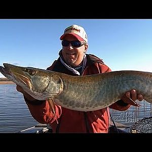 Musky Fishing Tips For New Electronics