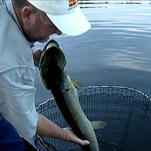 Lundberg Stalker Video - Fishing at Cedar Lake Lodge with Simply Fishing