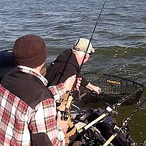 Trolling Green Bay Musky with Joe Bucher Shallow Raiders w Guide Bret Alexander