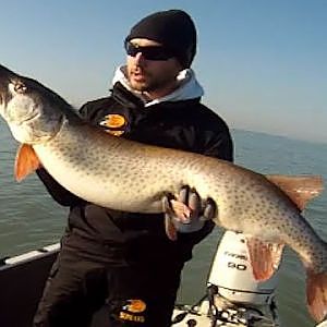 51 1/4 Musky Lake St Clair Trolling