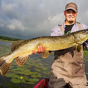 Pikefly: Pike flyfishing with Poppers