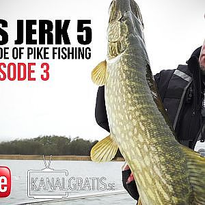 Fly vs Jerk 5 - Episode 3 - The dark side of Pike fishing