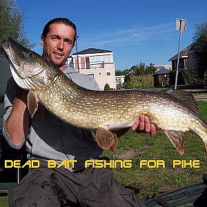 Snoekvissen met dood aas onder de dobber oktober 2013 - pike fishing with dead bait under a float