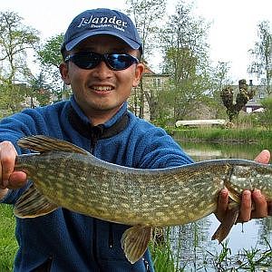 Fishing with Rod: Jumpy northern pike