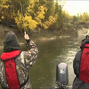 Pike Fly Fishing on the North Saskatchewan River