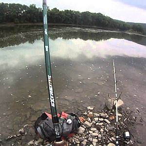 Bait Fishing #57 - River Fishing for Catfish, Walleye, and Pike with Cut Bait and Worms