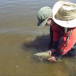 Peche au brochet au Maroc, Pike fishing Morocco