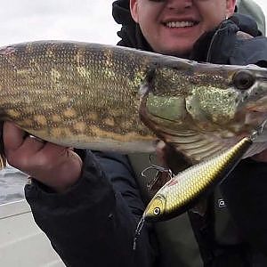 Pike Fishing in Ireland on Hybrida Wobblers