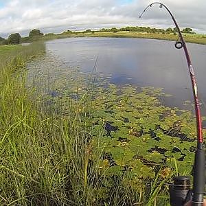 Pike fishing with lures: catching a trophy fish of a day.