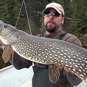 White River Air Pike Fishing (The Sequel)