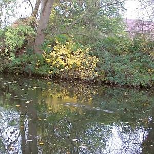 Pike float fishing on the canal - chrisnsamfishing