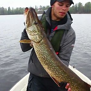 Sjukt gäddfiske i Hälsingland del 4 - Crazy pike fishing in Northern Sweden part 4