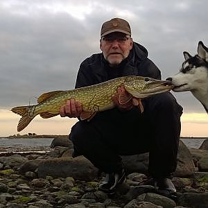 Lihkku want to take my Pike Fishing 27 oct 2014! Siberian Husky