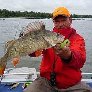 Spinnfischen auf Zander Barsch & Hecht  in Holland