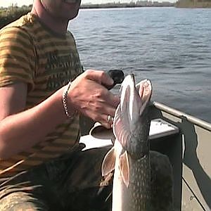 Altweibersommer in Holland ( Angeln auf Hecht )