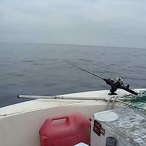 tuna fishing trolling